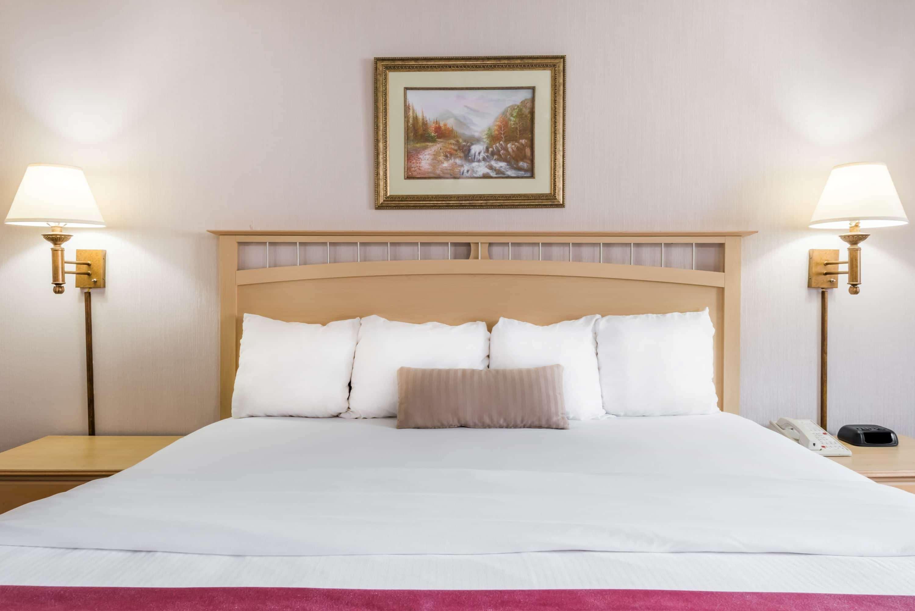 Pottsville Inn Zewnętrze zdjęcie