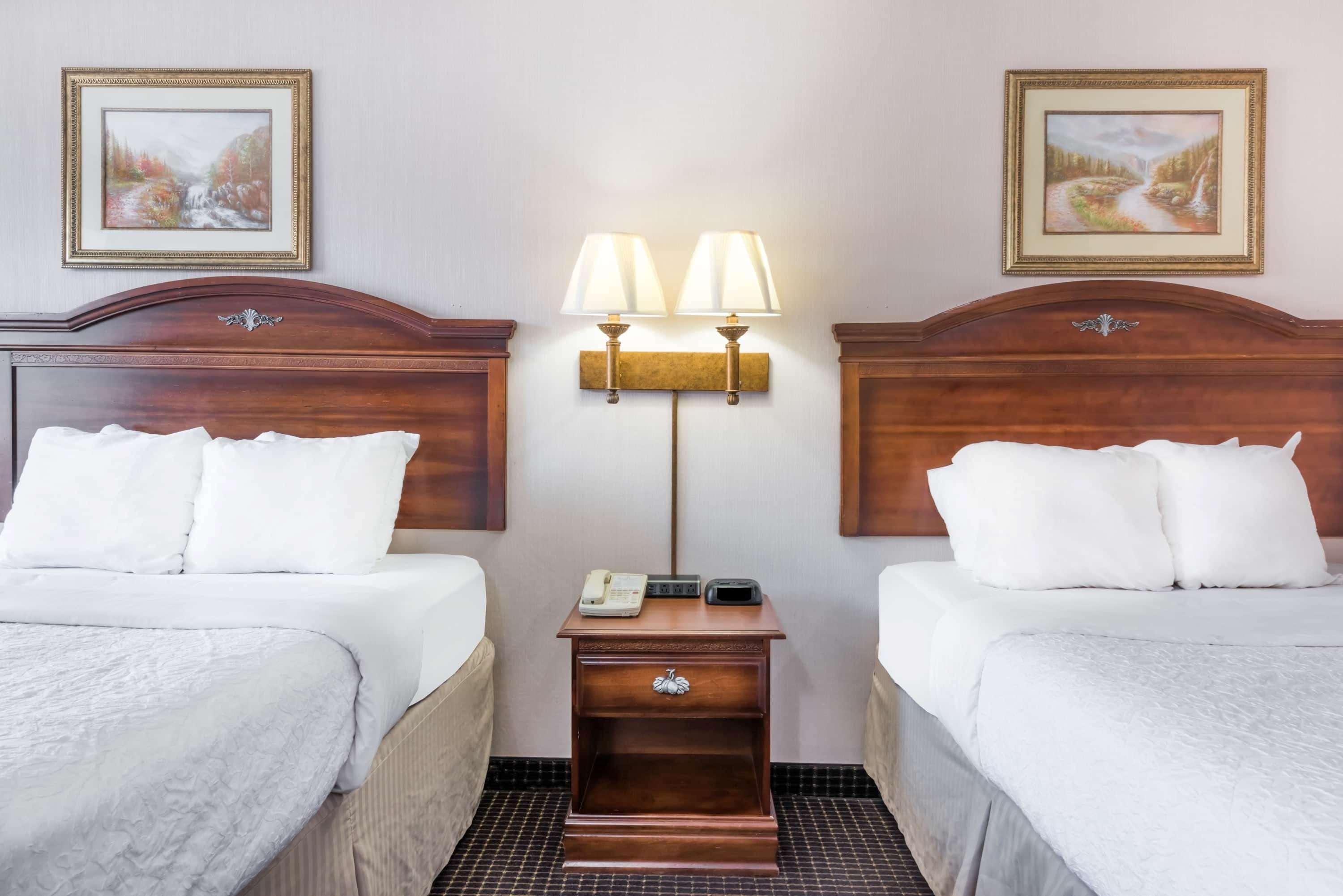Pottsville Inn Zewnętrze zdjęcie
